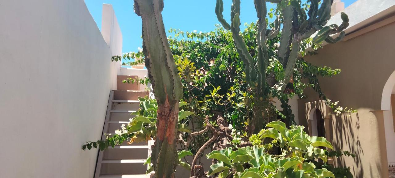 Les Etoiles Du Ksar Hotel Mirleft Exterior photo